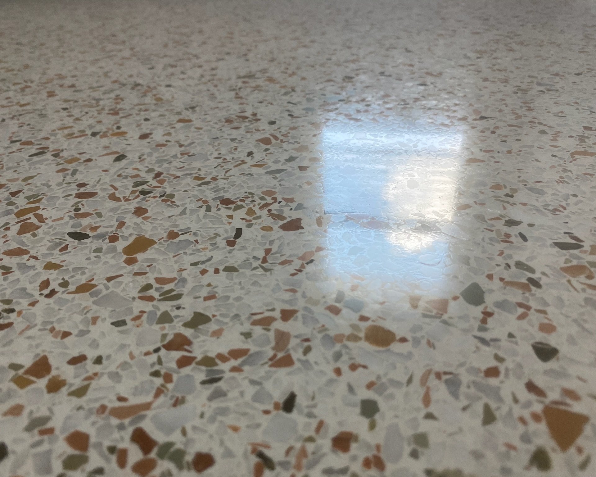 Commercial terrazzo lobby polished and restored — RockGrinderz