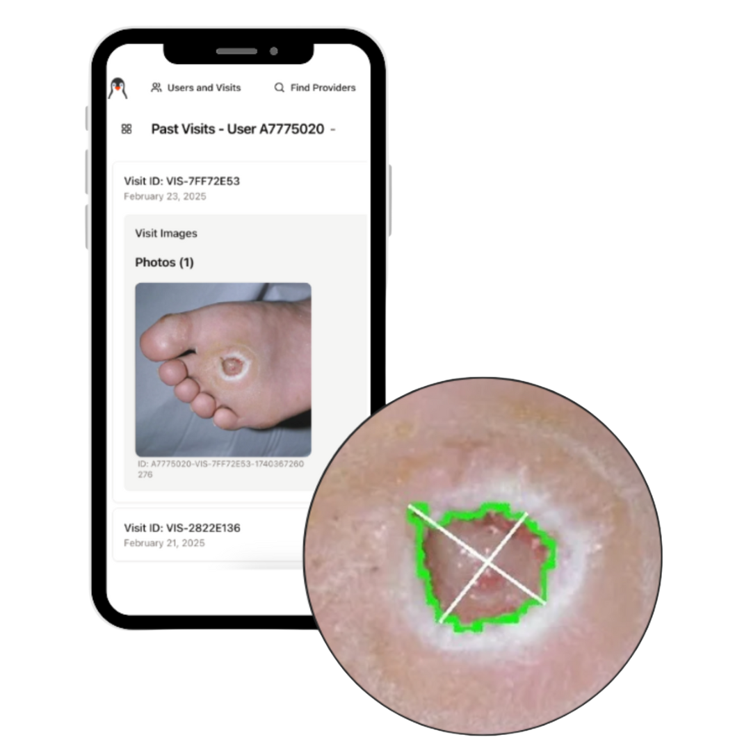 WoundScribe clinical dashboard