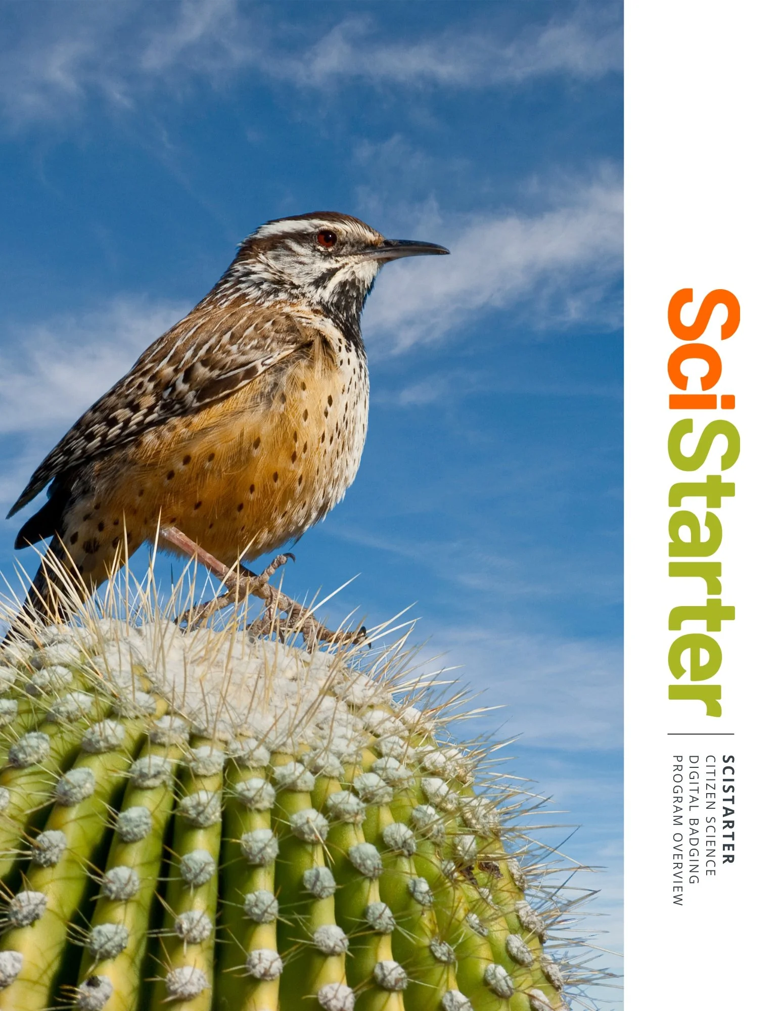 Cover of the SciStarter Citizen Science Digital Badging Program Overview