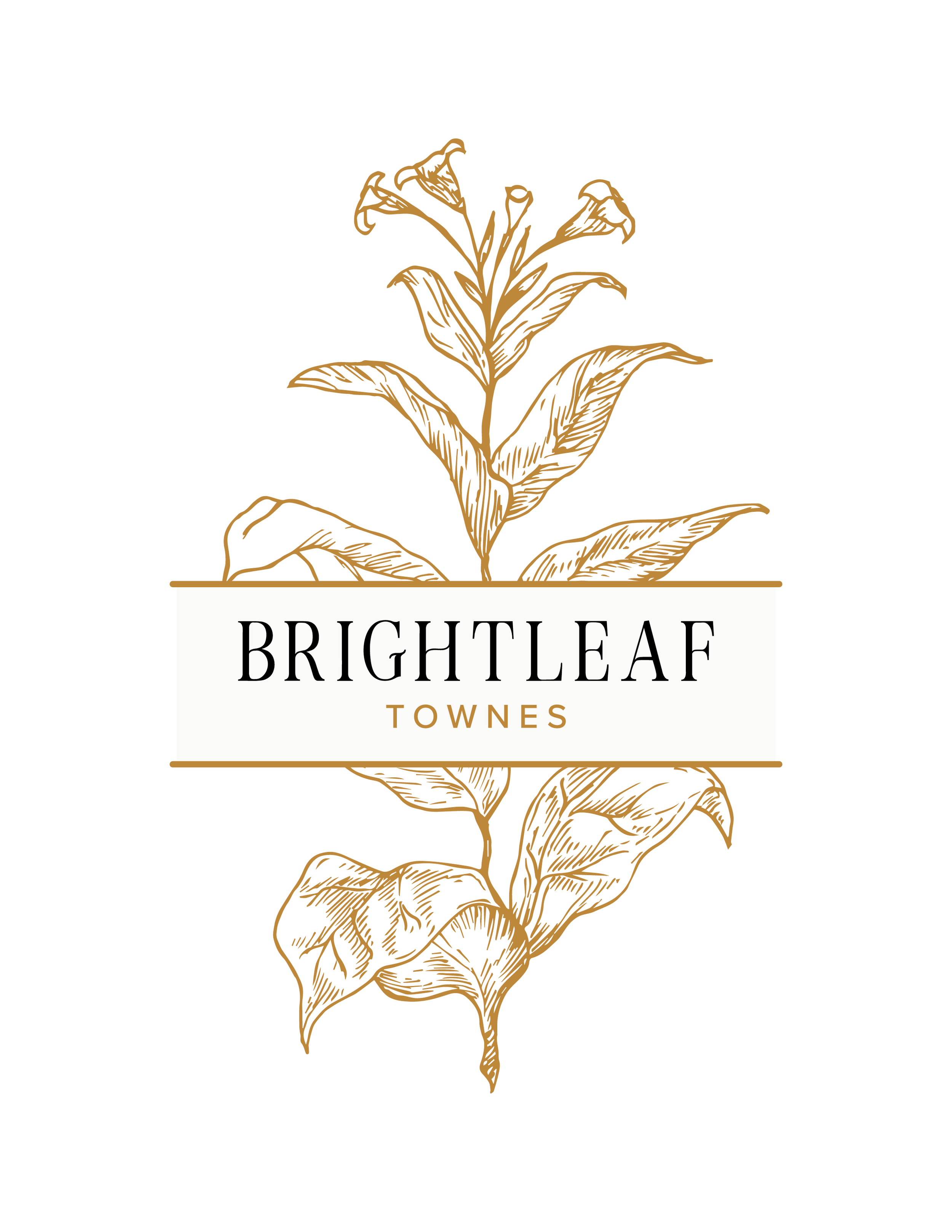 Brightleaf Refined Serif