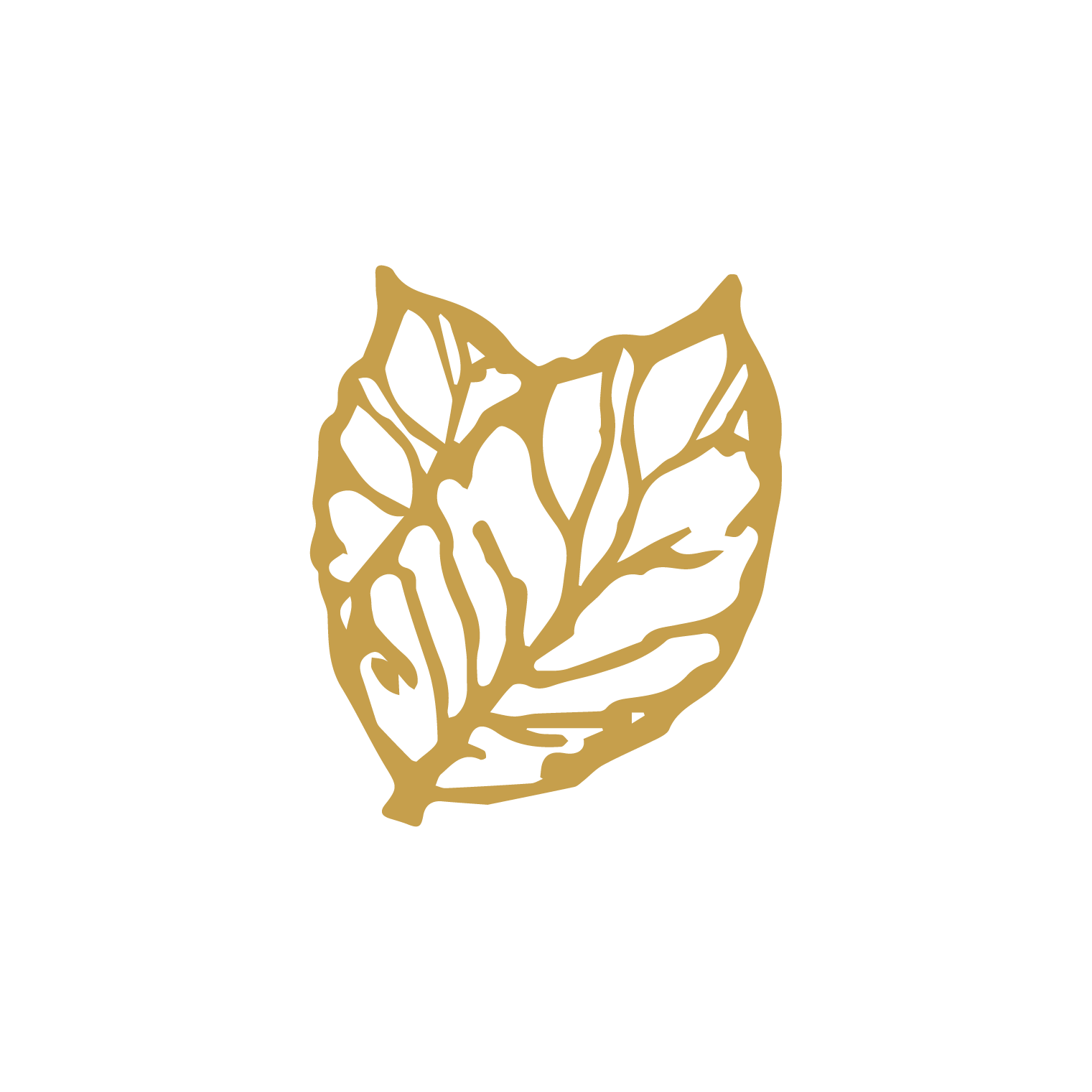 Brightleaf Townes mark