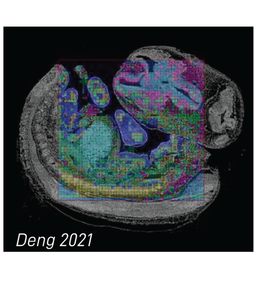 spatial ATAC publication thumbnail