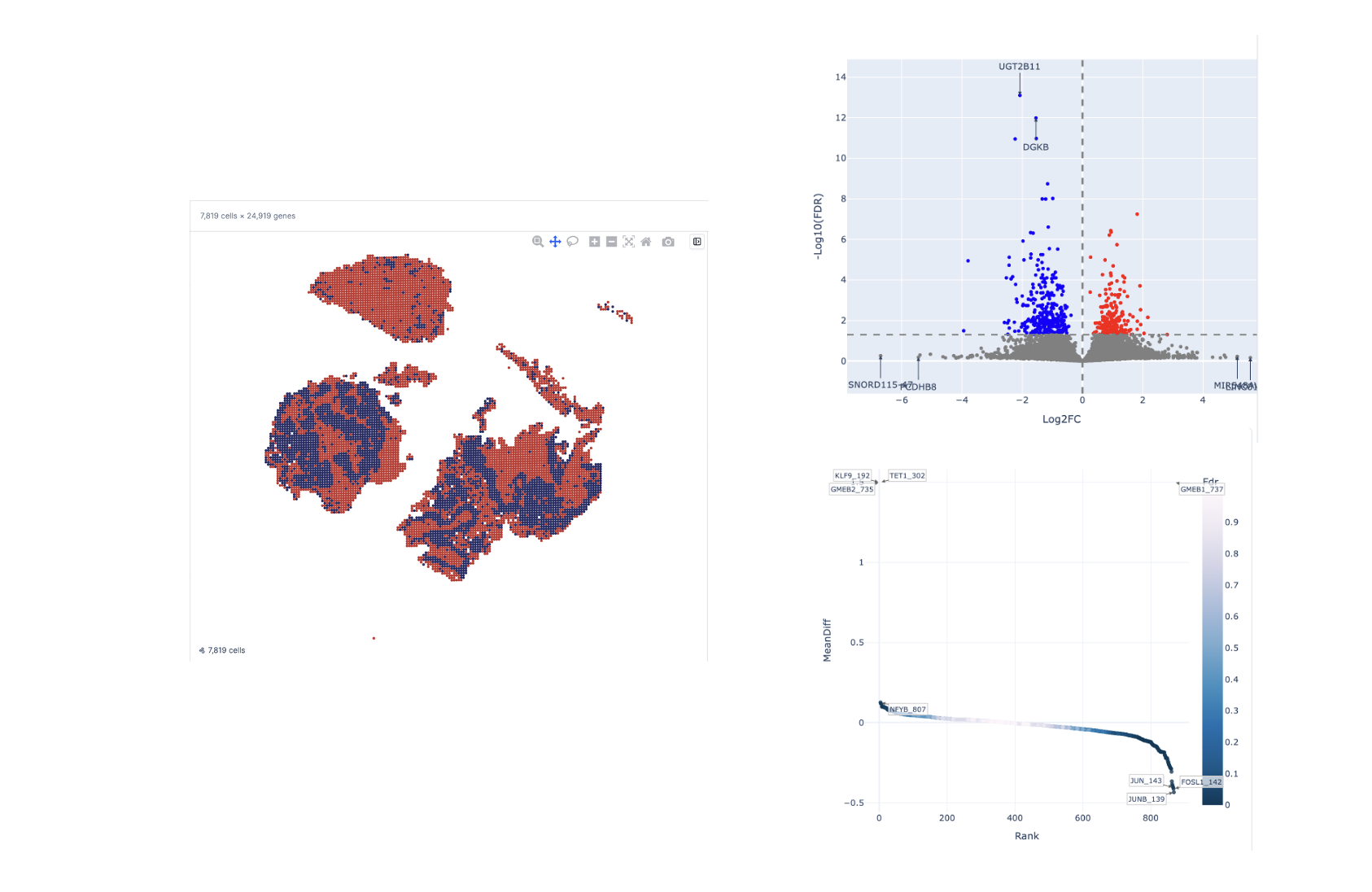 AtlasXomics portal – annotate spatial clusters