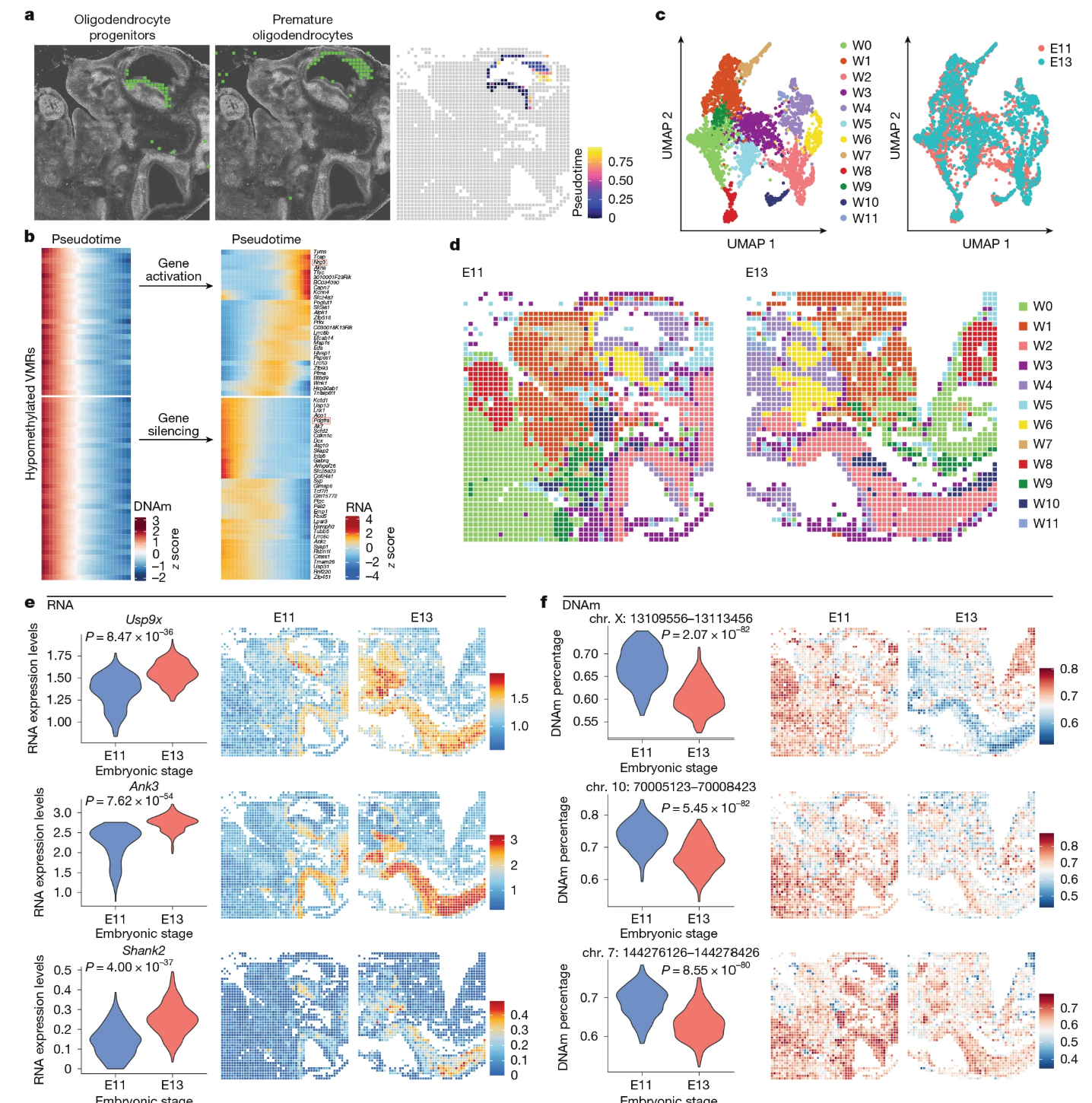Spatial DNA +RNA co-profiling data preview