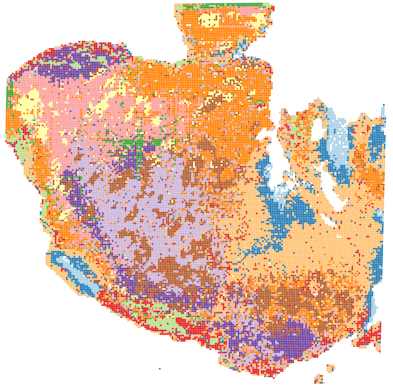 Spatial ATAC-seq chromatin accessibility map of a glioblastoma tissue section