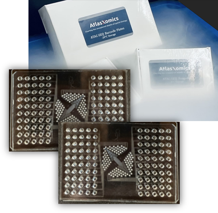 AtlasXomics Kits