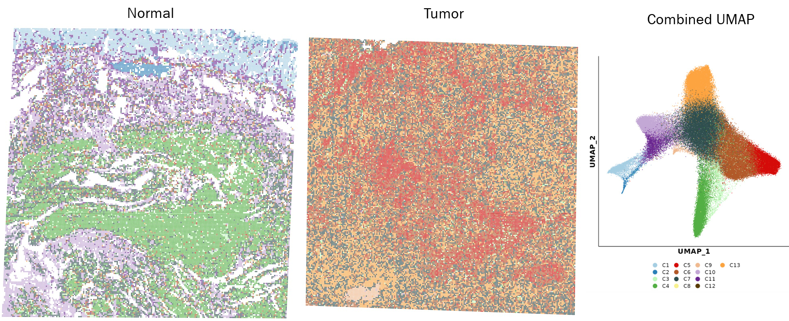 Spatial ATAC-seq data — chromatin accessibility clusters across stomach tissue