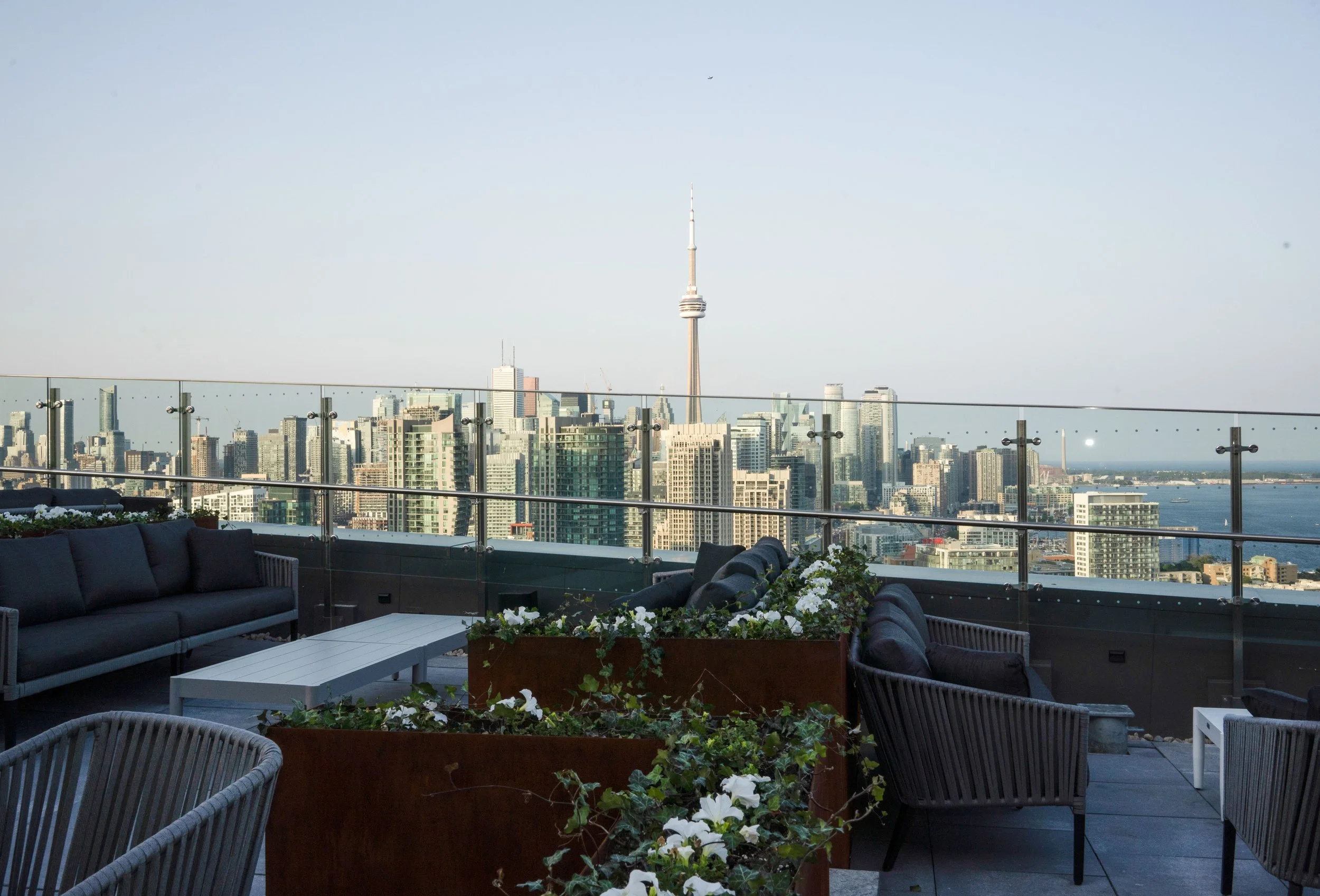 The Rooftop