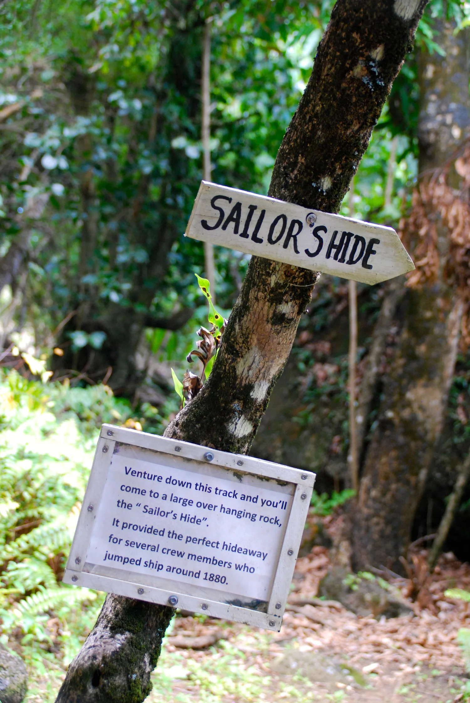Sailors Hide trail on Pitcairn Island