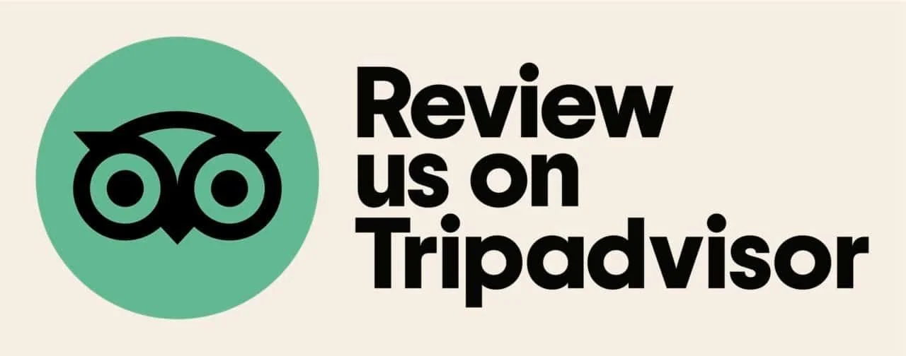 TripAdvisor Reviews