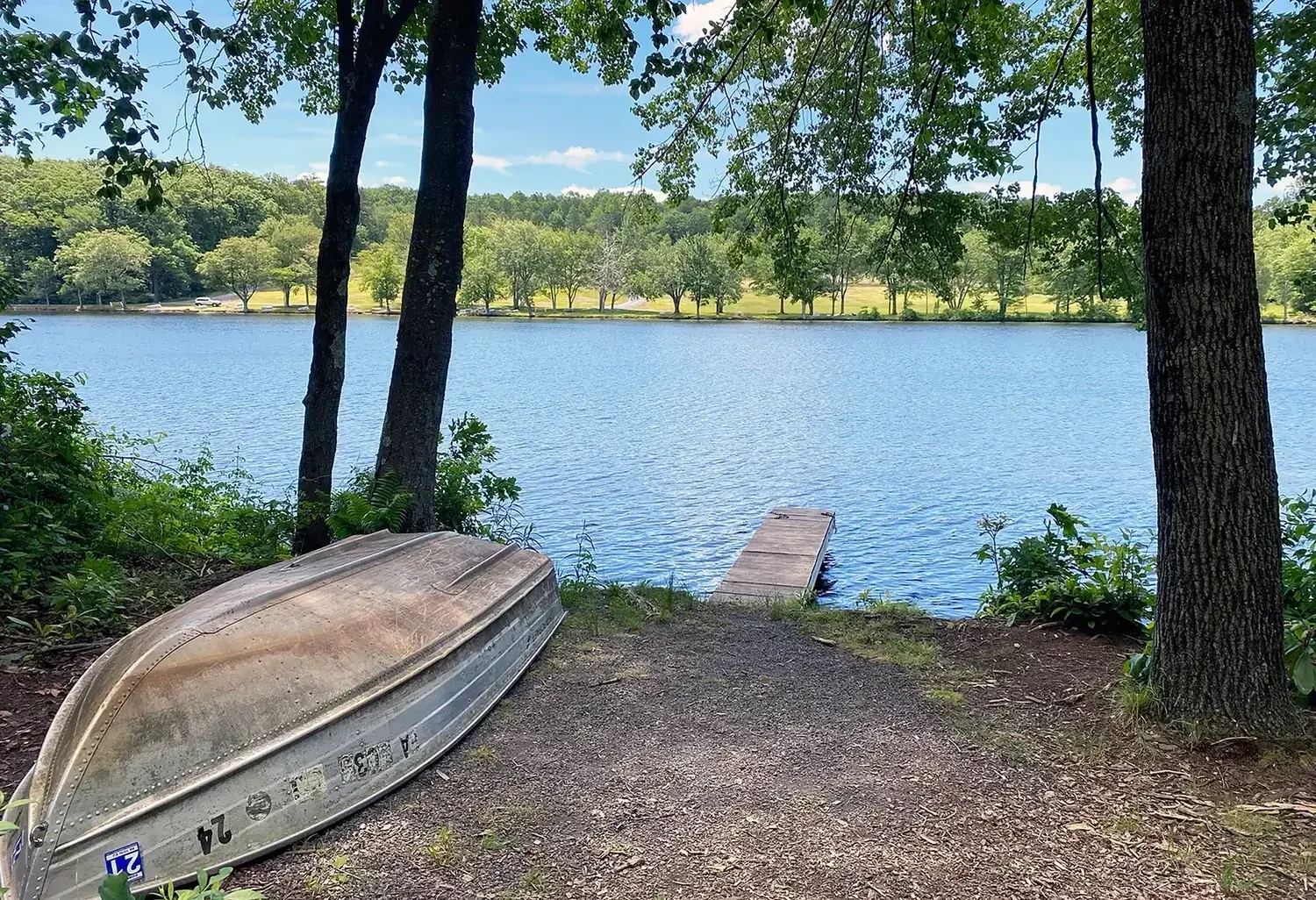 Lakeview Cabin 24 lake access dock on Mountain Springs Lake