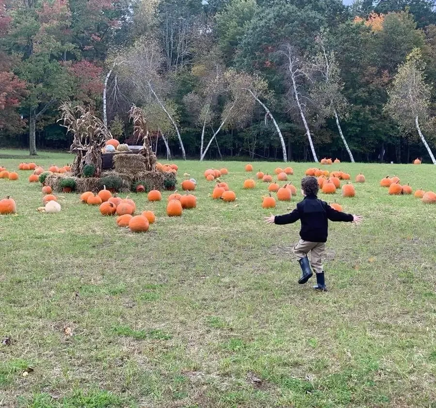 Child running through the pumpkin patch at Mountain Springs Lake Resort in the Poconos