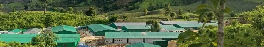 Rows of green-roofed single-storey buildings in a new cluster