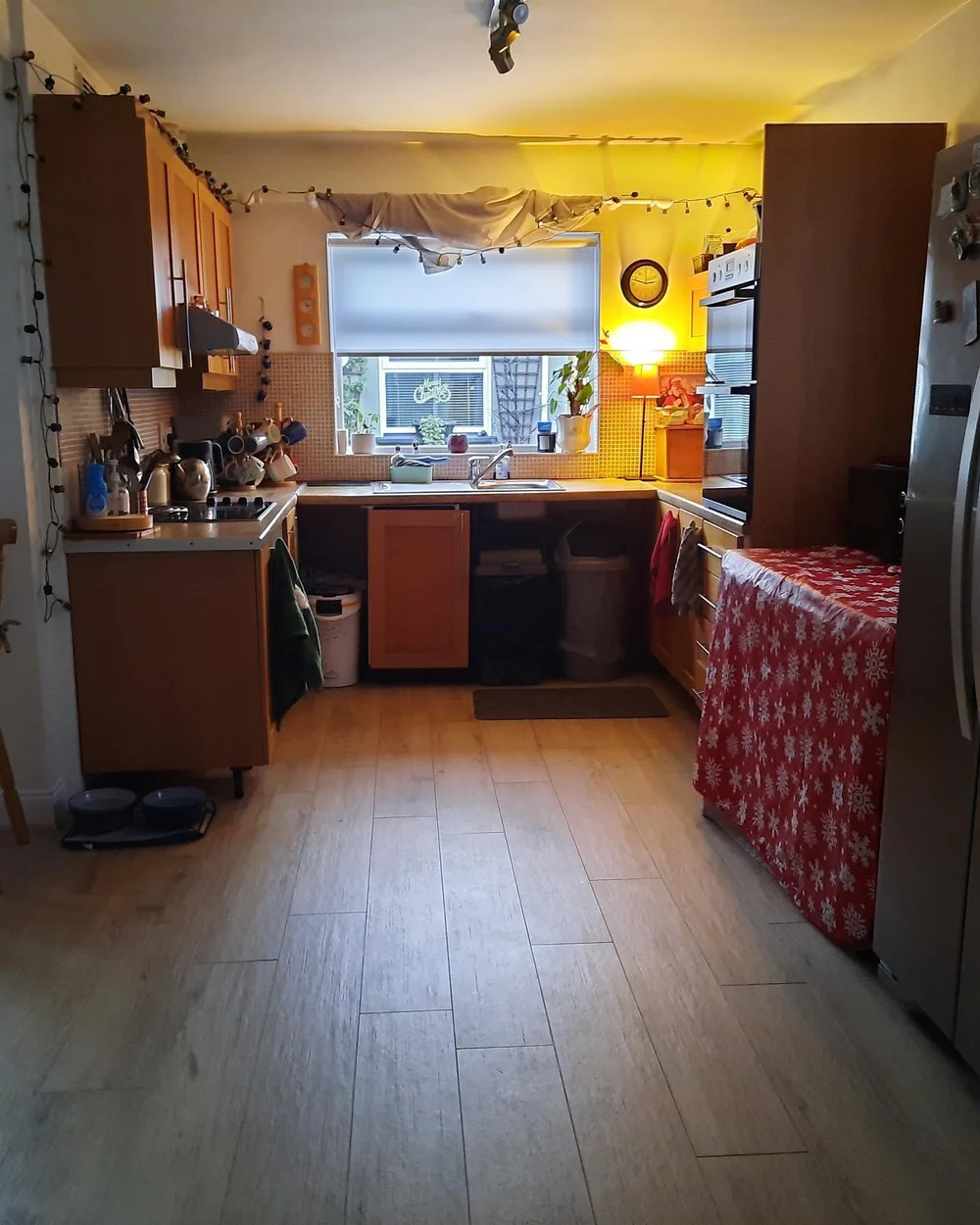 Shannen’s Kitchen Transformation — customer project photograph