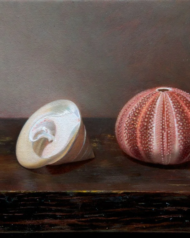 Three Shells, by Nancy Fletcher, Oil on linen