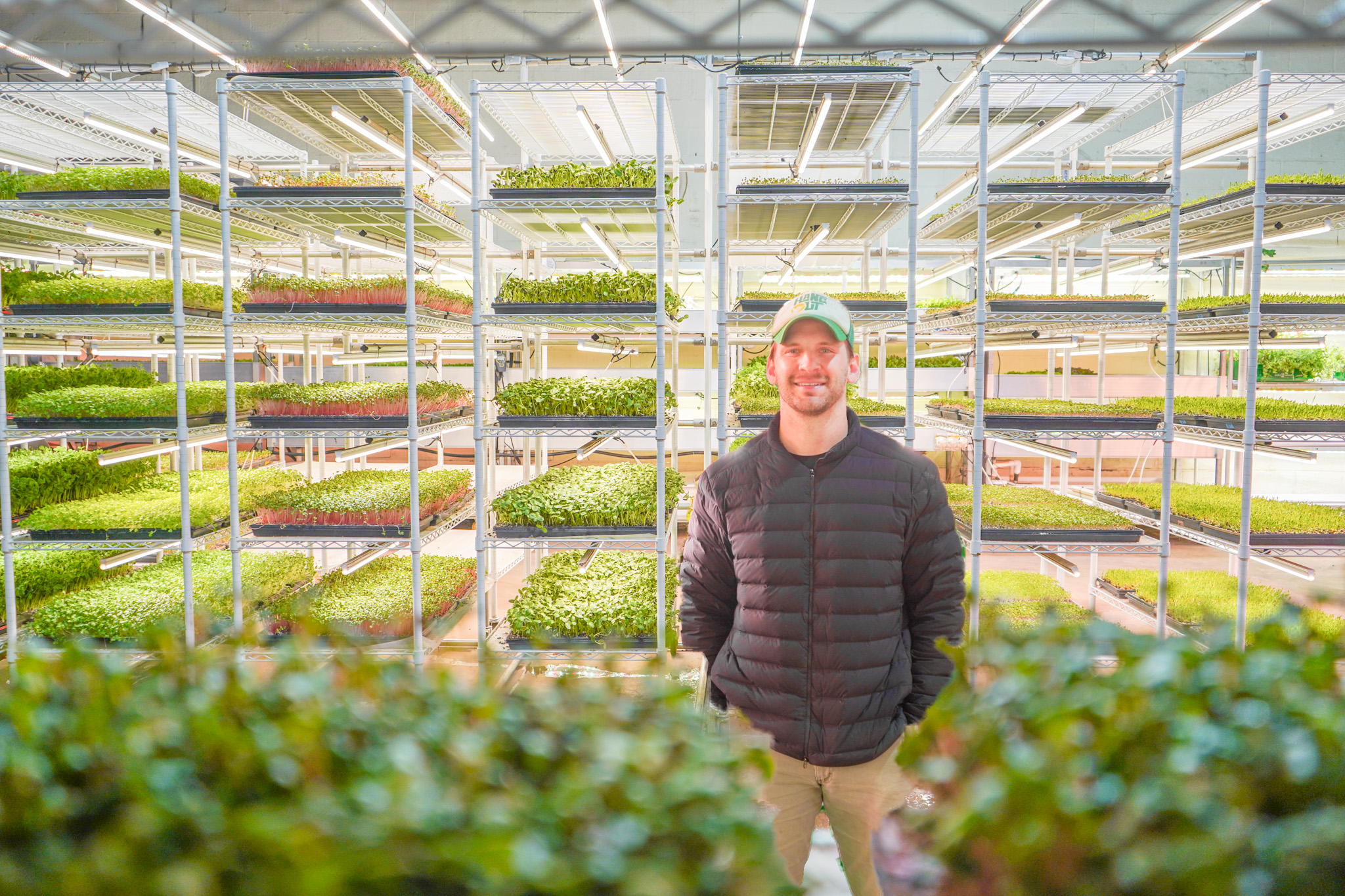 A farmer tending rows of young greens under grow lights