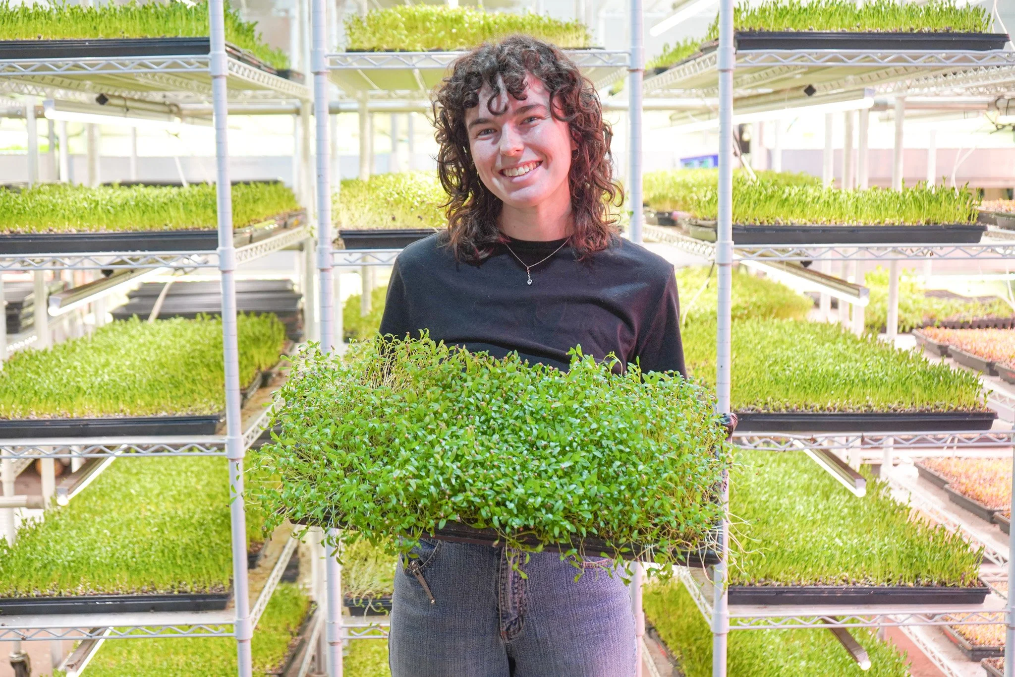 Area 2 Farms farmer holding a tray of fresh microgreens