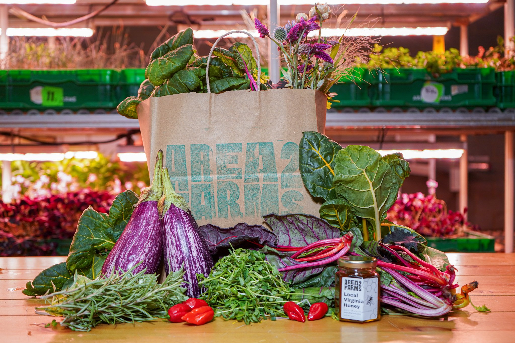 Harvest from an Area 2 Farms indoor farm