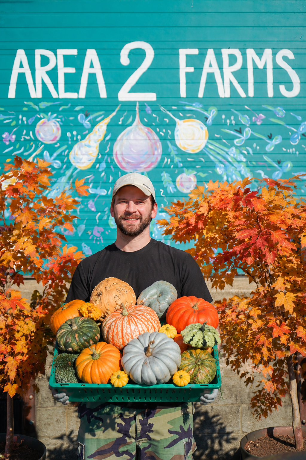 Pumpkins at the farm