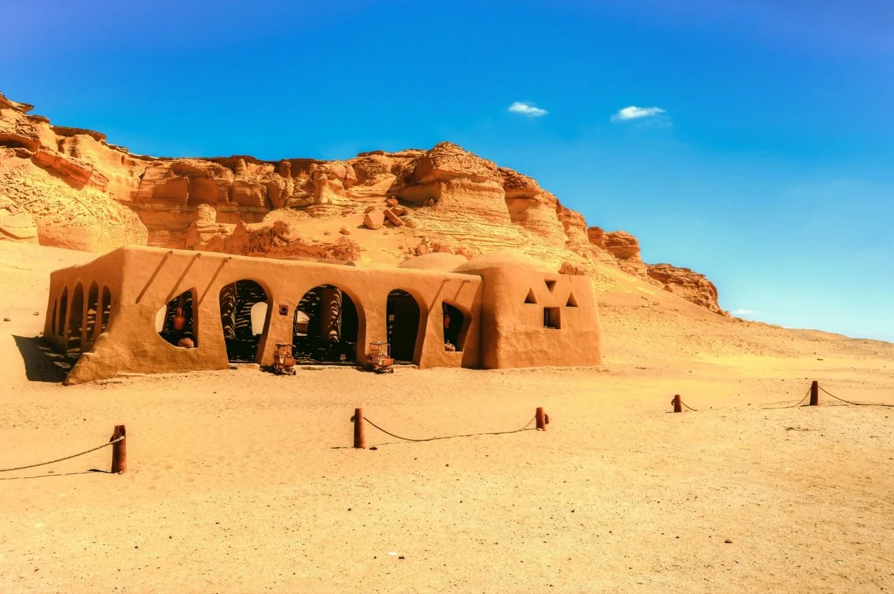 Wadi Al-Hitan in Fayoum