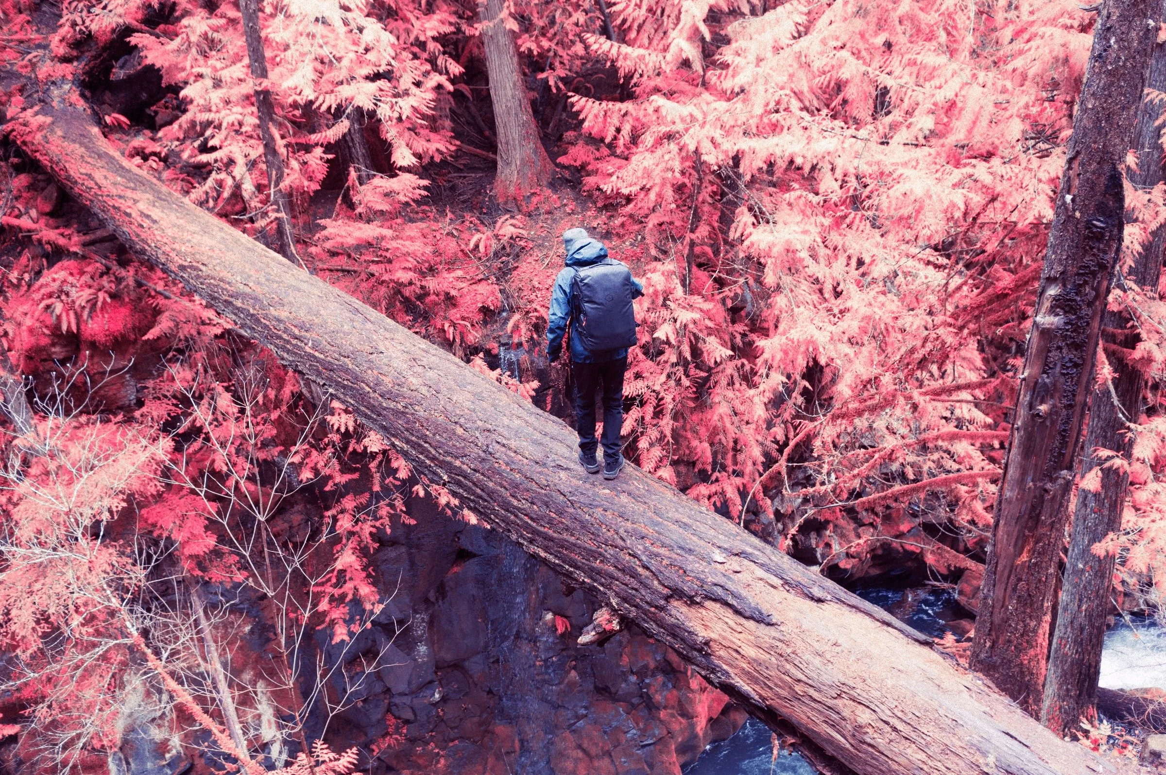 Aerochrome. Aerochrome