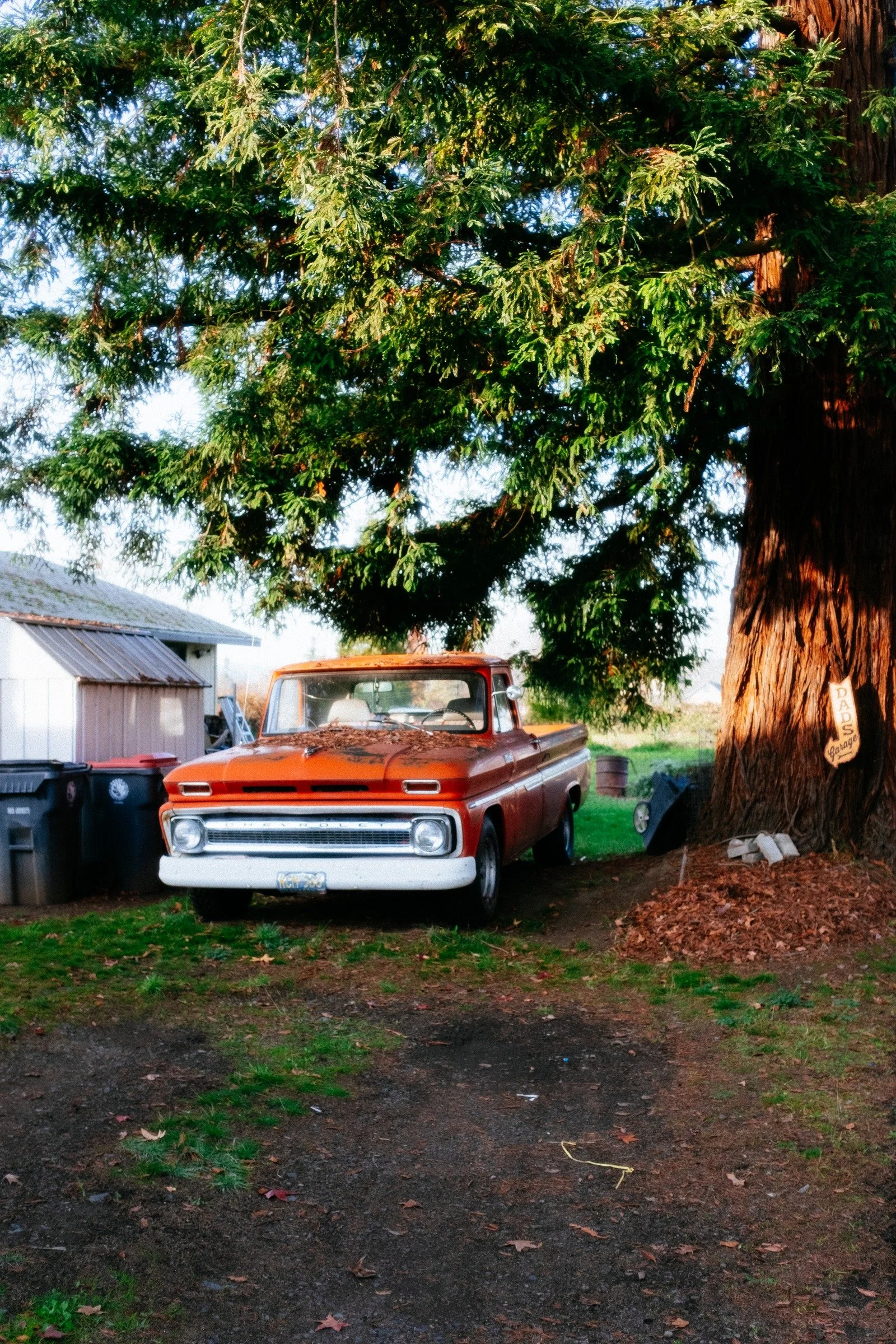 Velvia 50. Preset