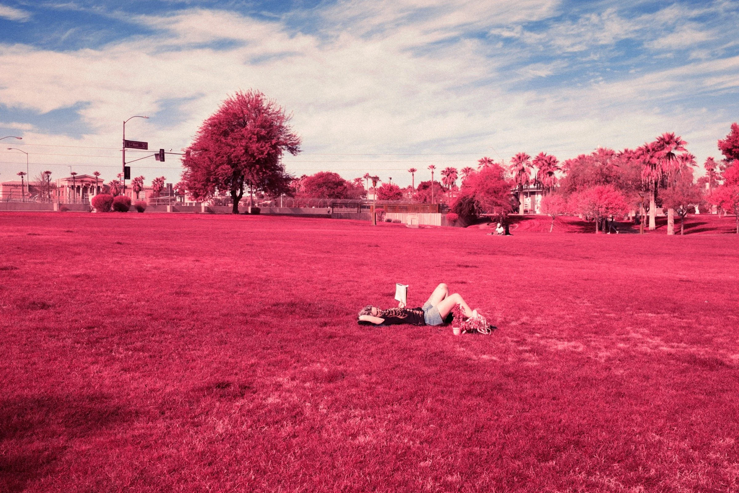 Save Sky Ai + Aerochrome. Save Sky Ai + Aerochrome