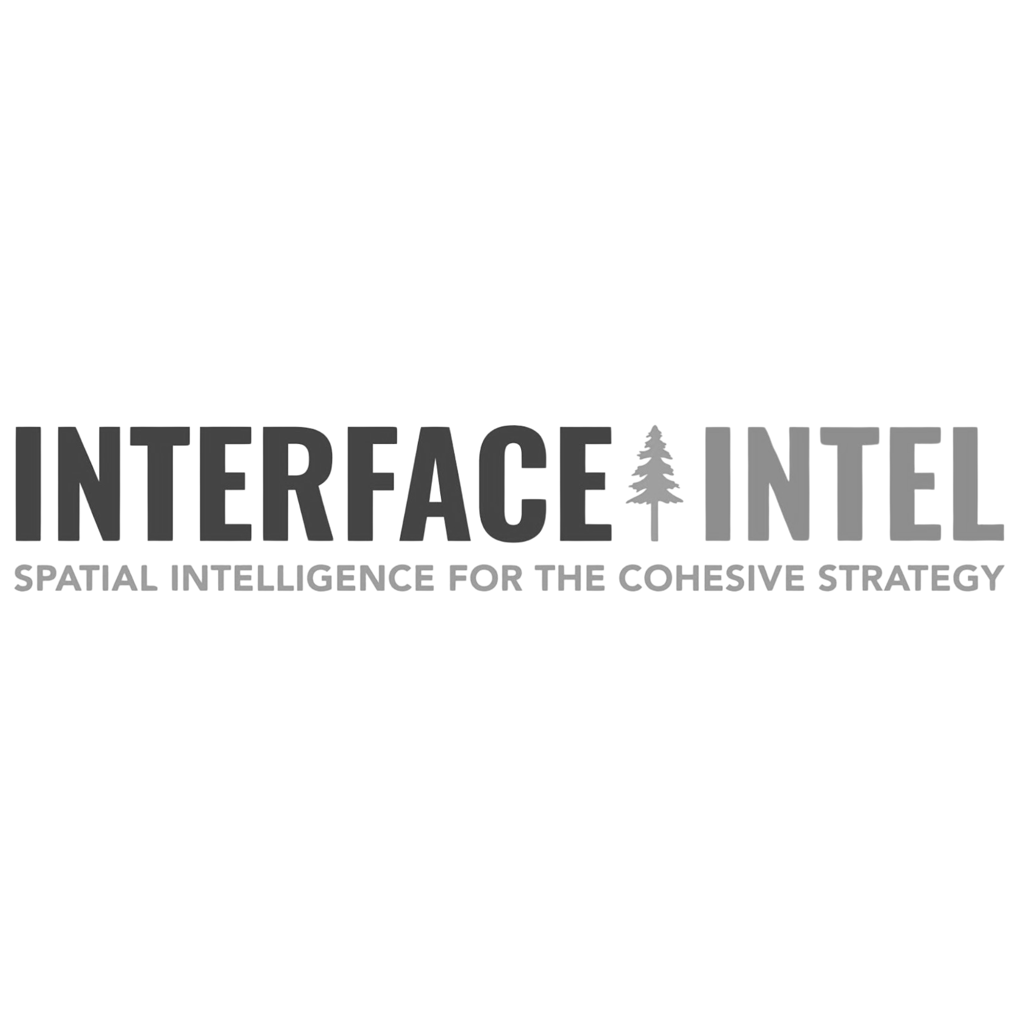 Interface Intel