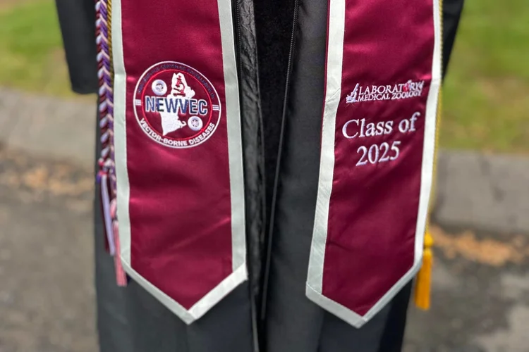 A close up of a graduate in black robes and her stole in UMass colors with the NEWVEC logo on one side, Laboratory of Medical Zoology logo on the other side, and "Class of 2025" below it.