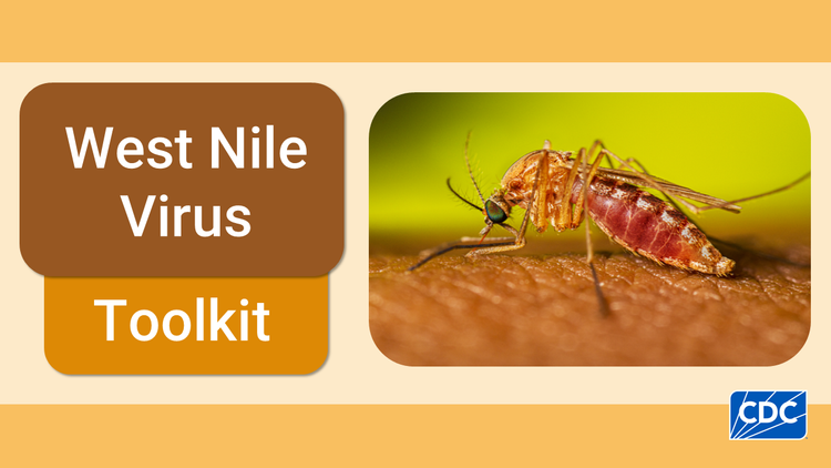Text "West Nile Virus Toolkit" and a photo of a feeding mosquito with the CDC logo in the corner.