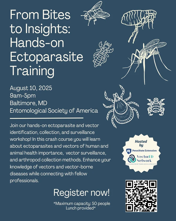 Vector Ed Network flyer for a training in August with a QR code.