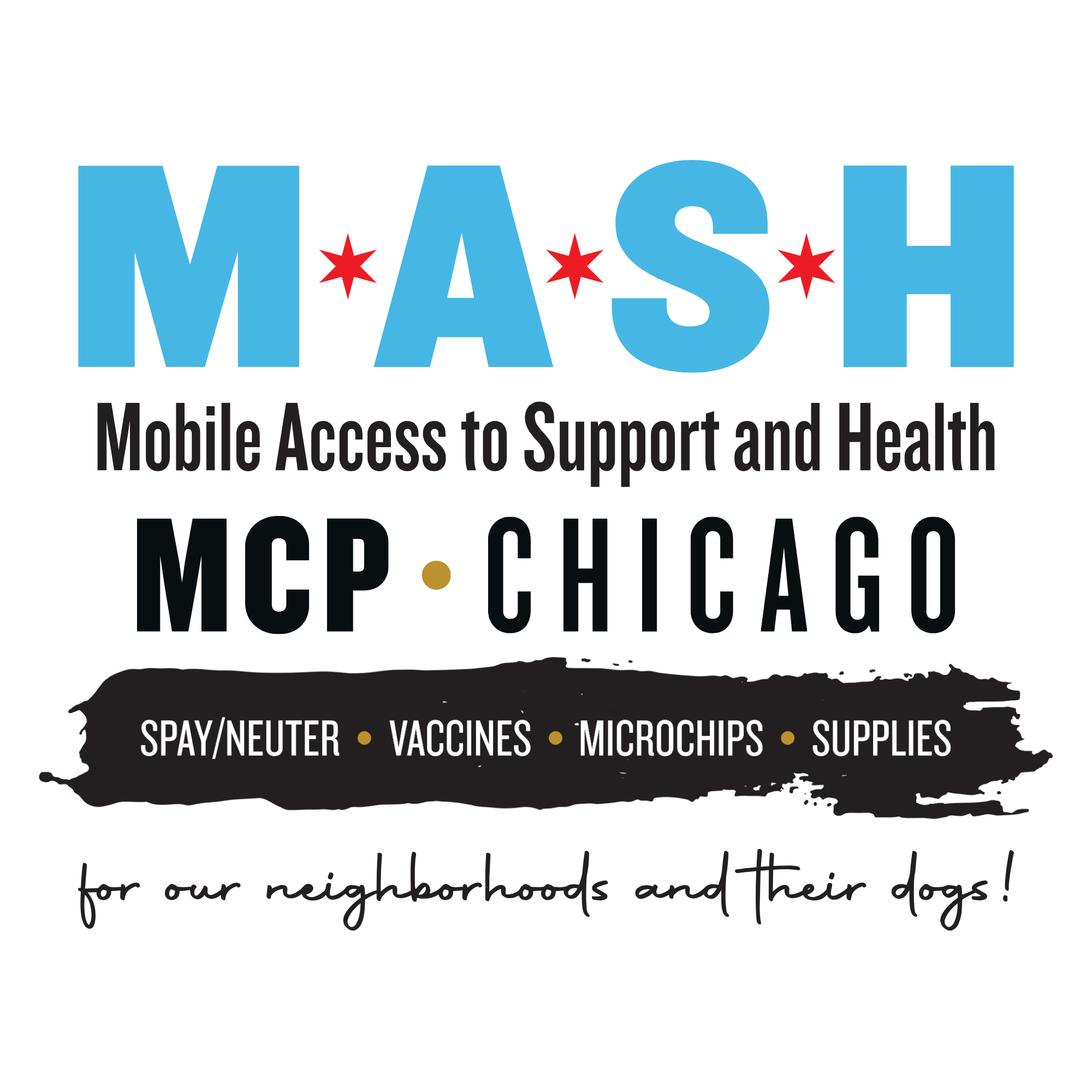 M.A.S.H. Mobile Access to Support and Health, MCP Chicago
