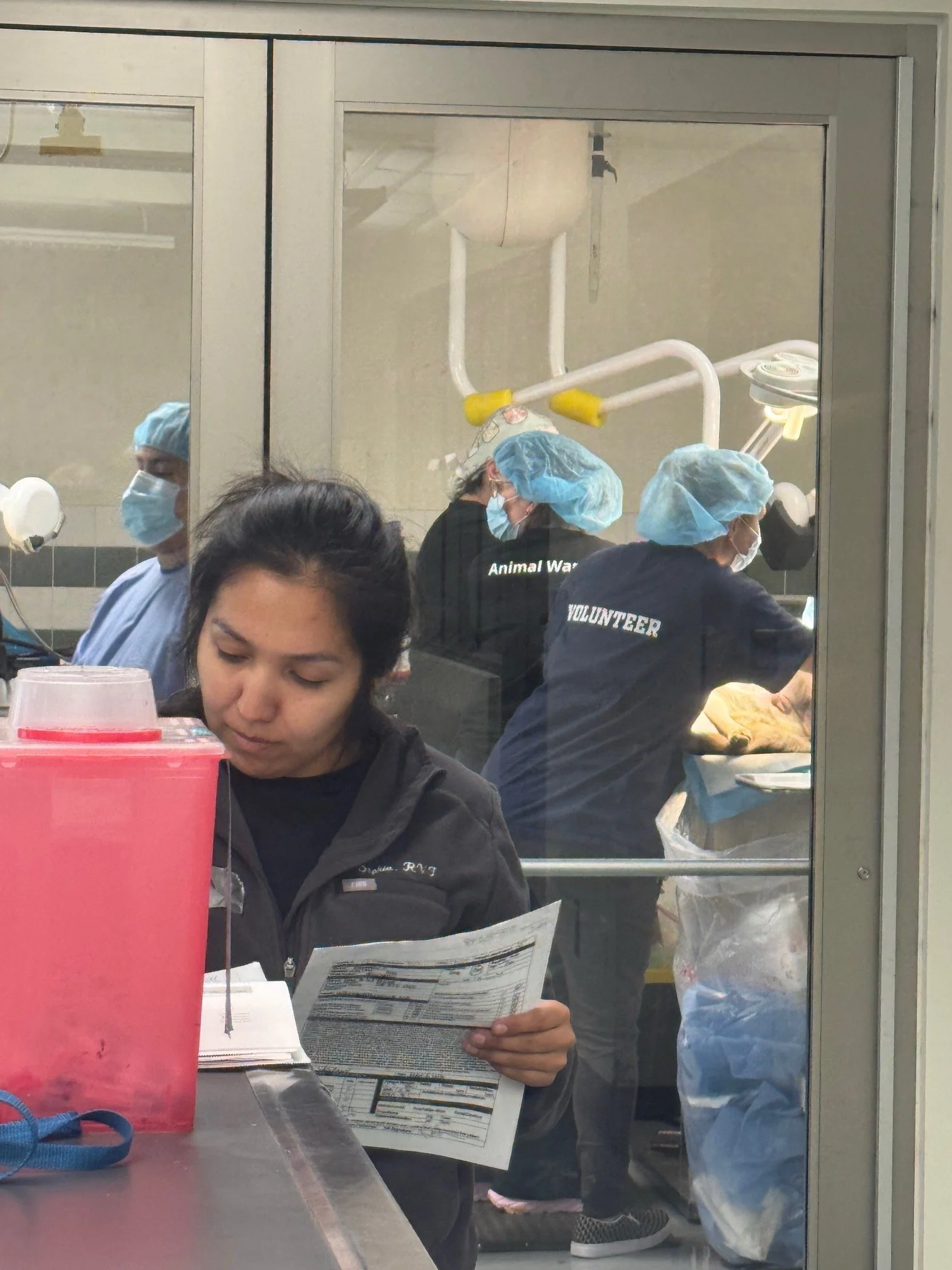 Veterinary professionals providing care during a community clinic