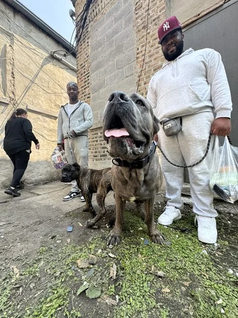 Chicago residents with their dogs