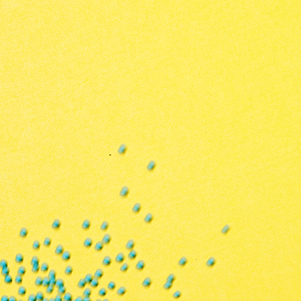 BLUE SCATTER