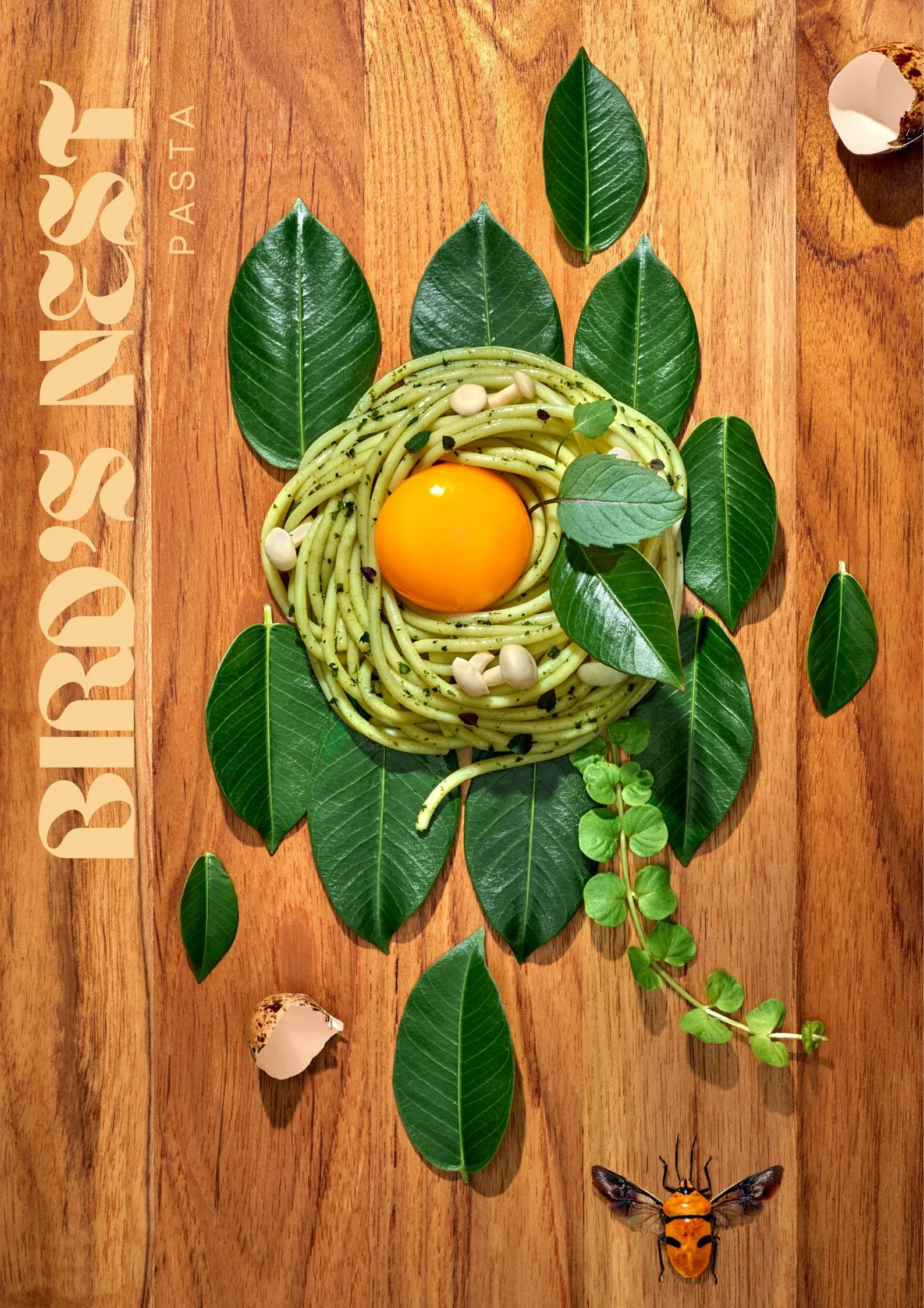 Bird's Nest Pasta