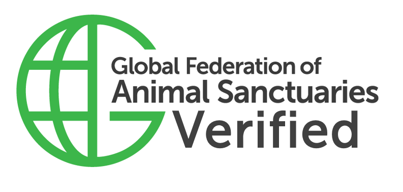 GFAS Verified Logo