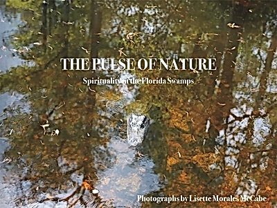 Cover of The Pulse of Nature: Spirituality in the Florida Swamps