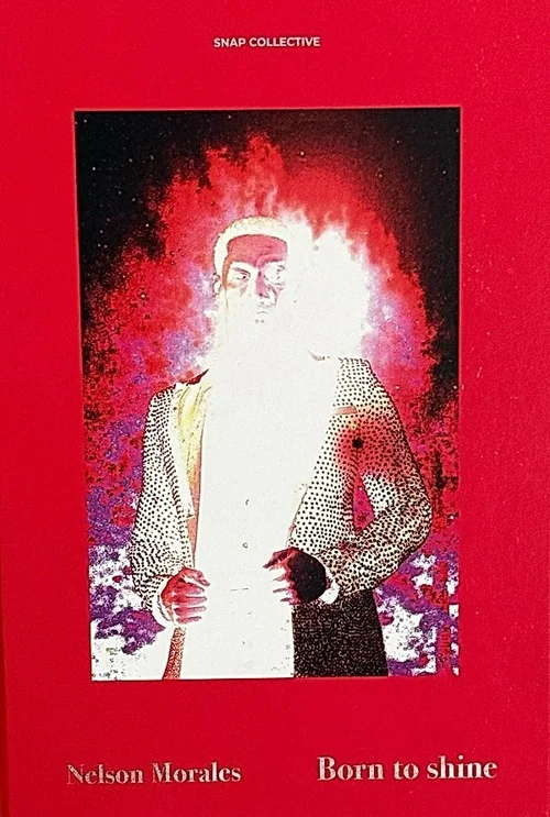 Cover of Born to Shine