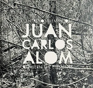 Cover of Entre los elementos / Between the Elements