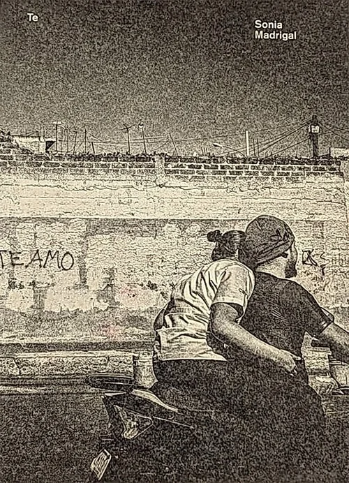 Cover of Te