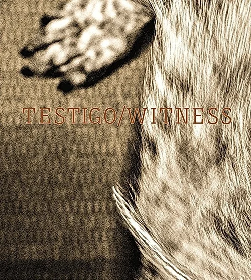 Cover of Testigo / Witness