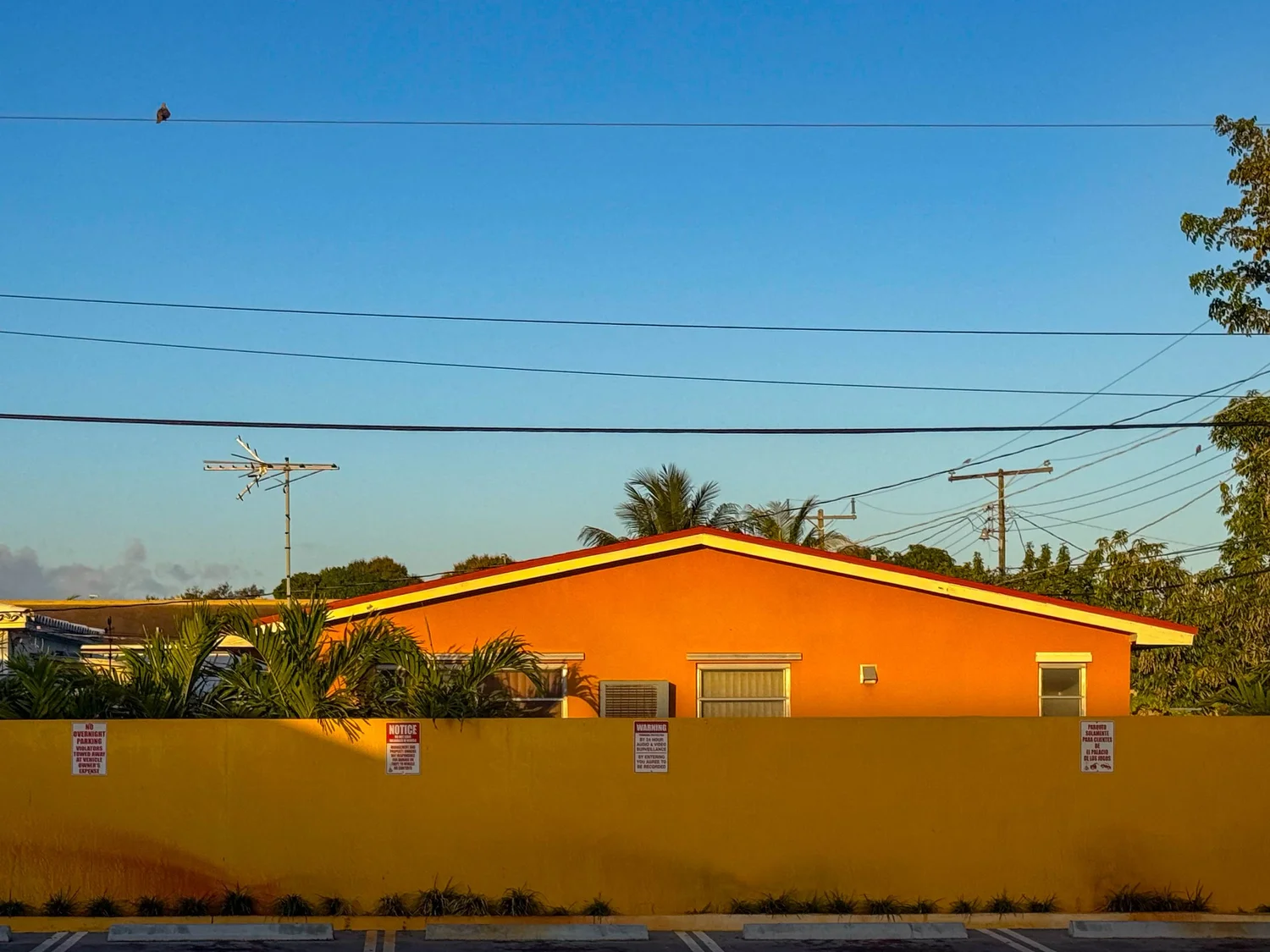 Hialeah, Florida — Miami Unscripted, February 2026 © William Riera