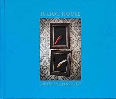 Cover of Julio’s House