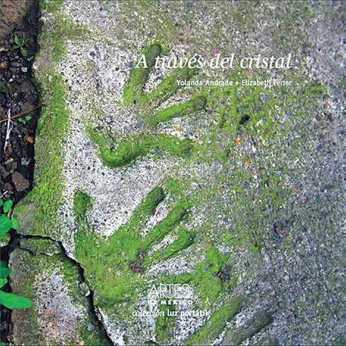 Cover of A través del cristal