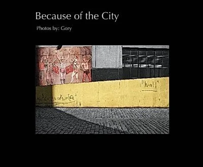 Cover of Because of the City