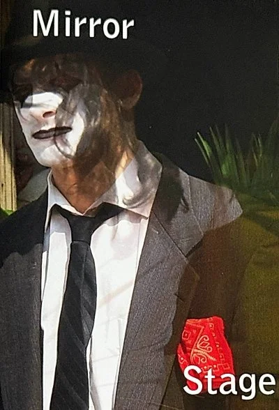 Cover of Mirror Stage