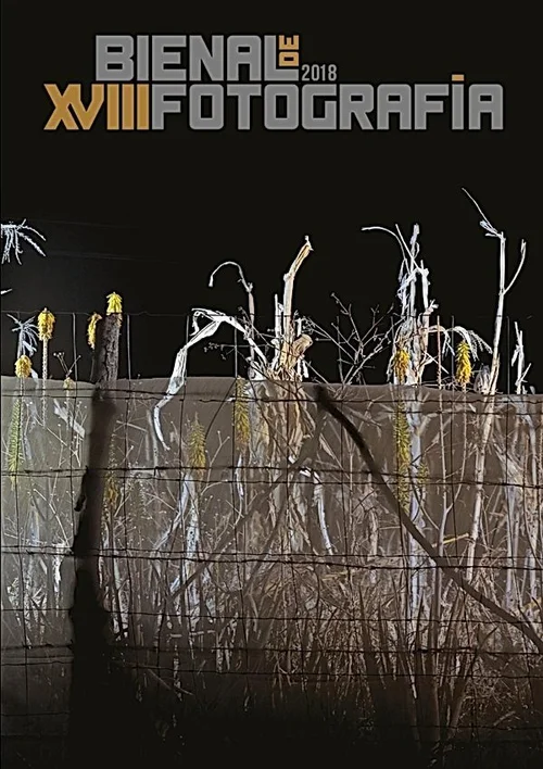 Cover of XVII Bienal de Fotografía