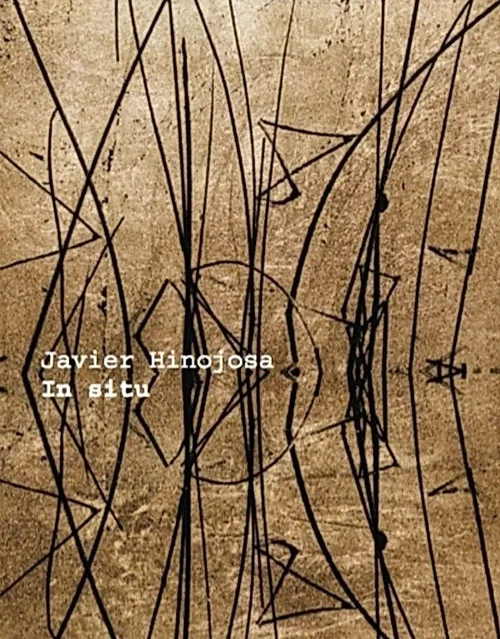 Cover of In Situ