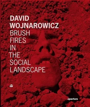 Cover of David Wojnarowicz: Brush Fires in the Social Landscape: Twentieth Anniversary Edition